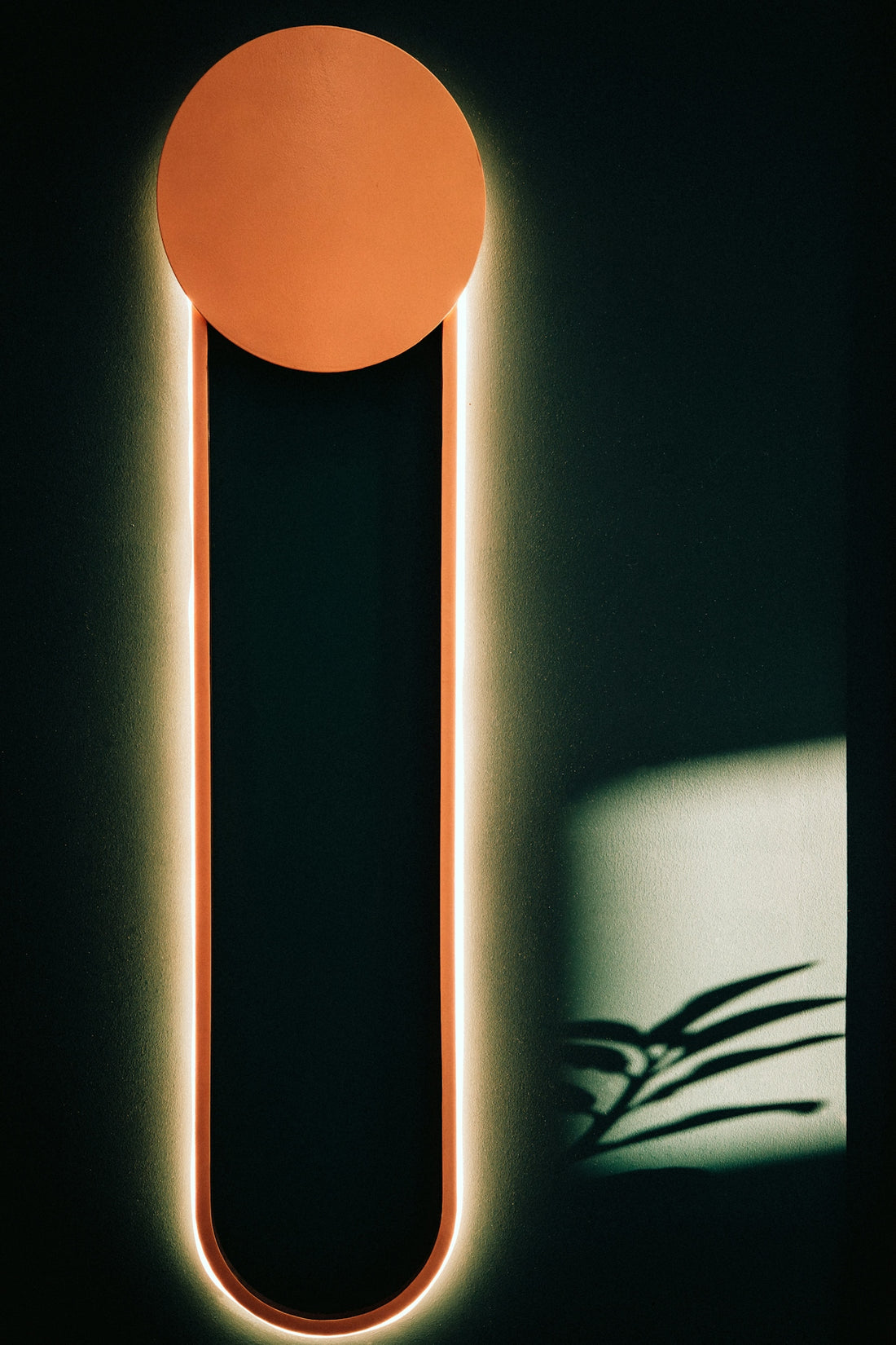 Modern wall light illuminates dark room with plant shadow