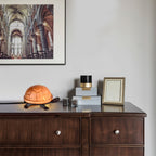 Warehouse of Tiffanys Amber Turtle Accent Lamp
